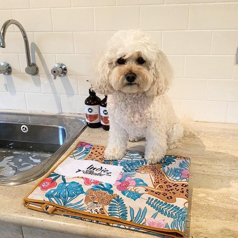 Pet Travel & Bath Towel | Leopard Luxe