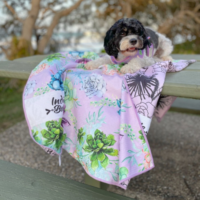 Pet Travel & Bath Towel | Succulent Medley