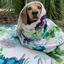 Indie Boho Designer Pet Blanket | Succulent Medley | Peticular