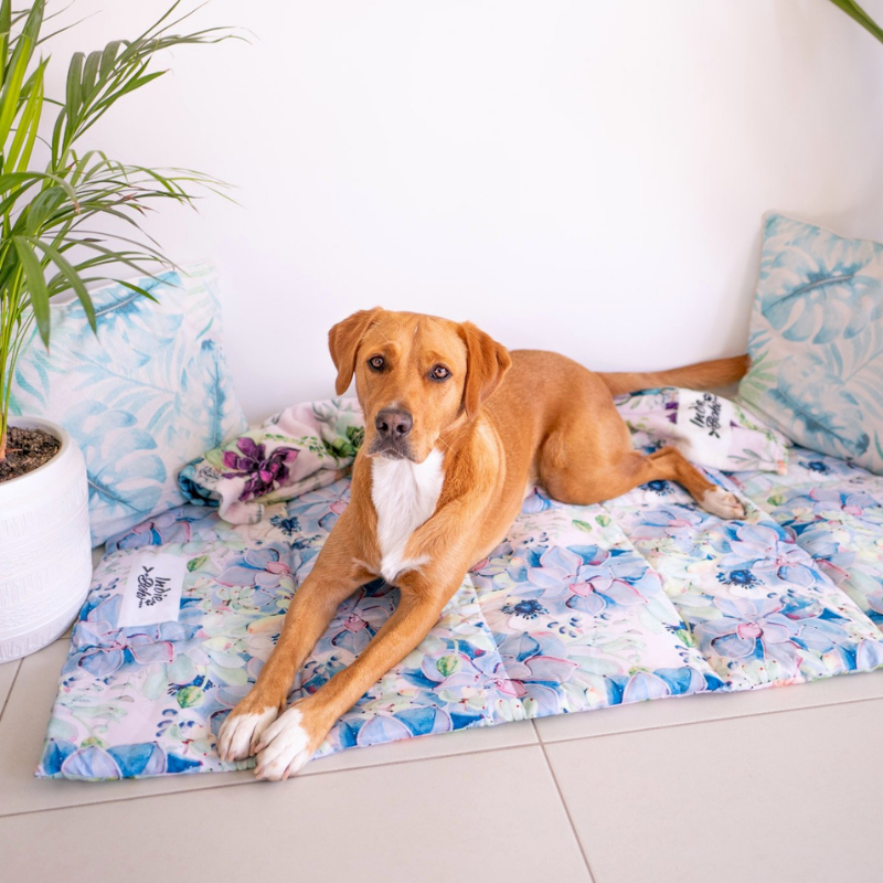 Dog Travel & Training Mat | Succulent Medley