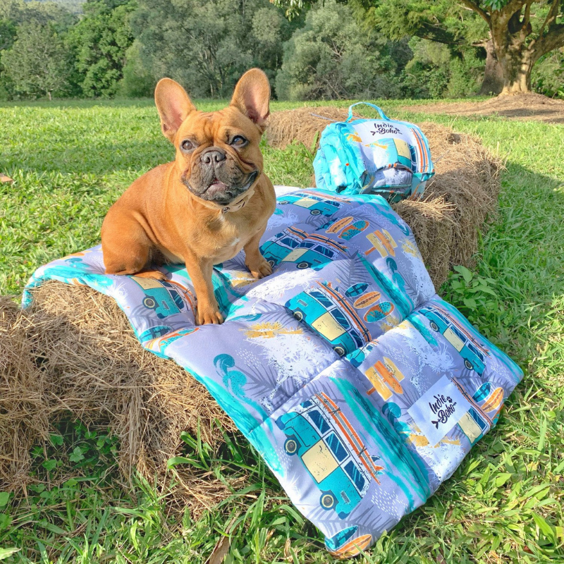 Dog Travel & Training Mat | Byron Surf