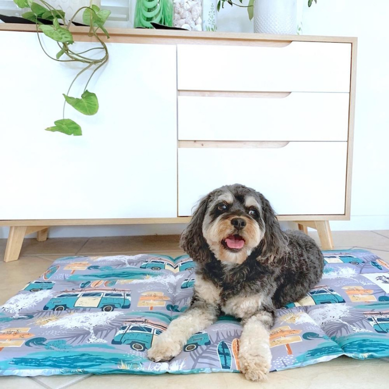 Dog Travel & Training Mat | Byron Surf