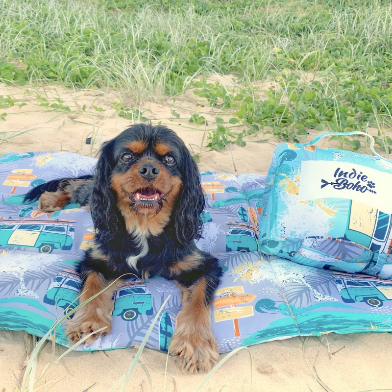 Dog Travel & Training Mat | Byron Surf