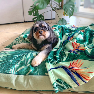 Designer Pet Blanket | Tropical Bloom