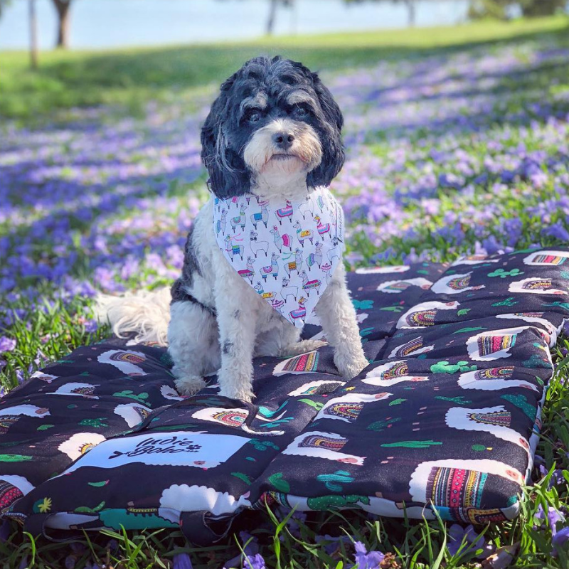 Indie Boho Pet Travel Mat | Alpaca | Peticular