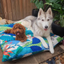 Indie Boho Cushion Pet Bed | Binny's Jungle Song | Peticular