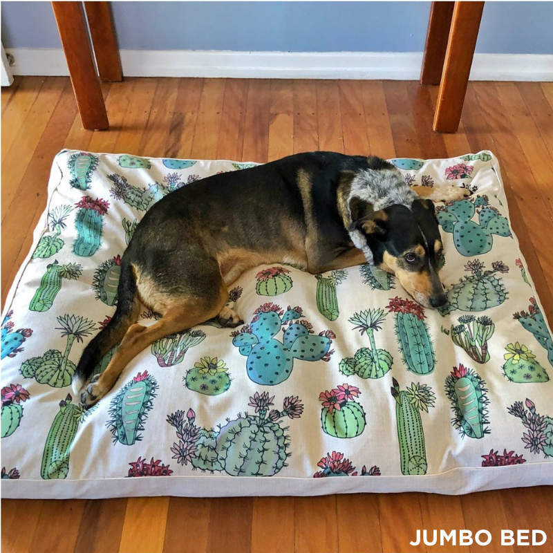 Indie Boho Cushion Pet Bed | Desert Cacti | Peticular