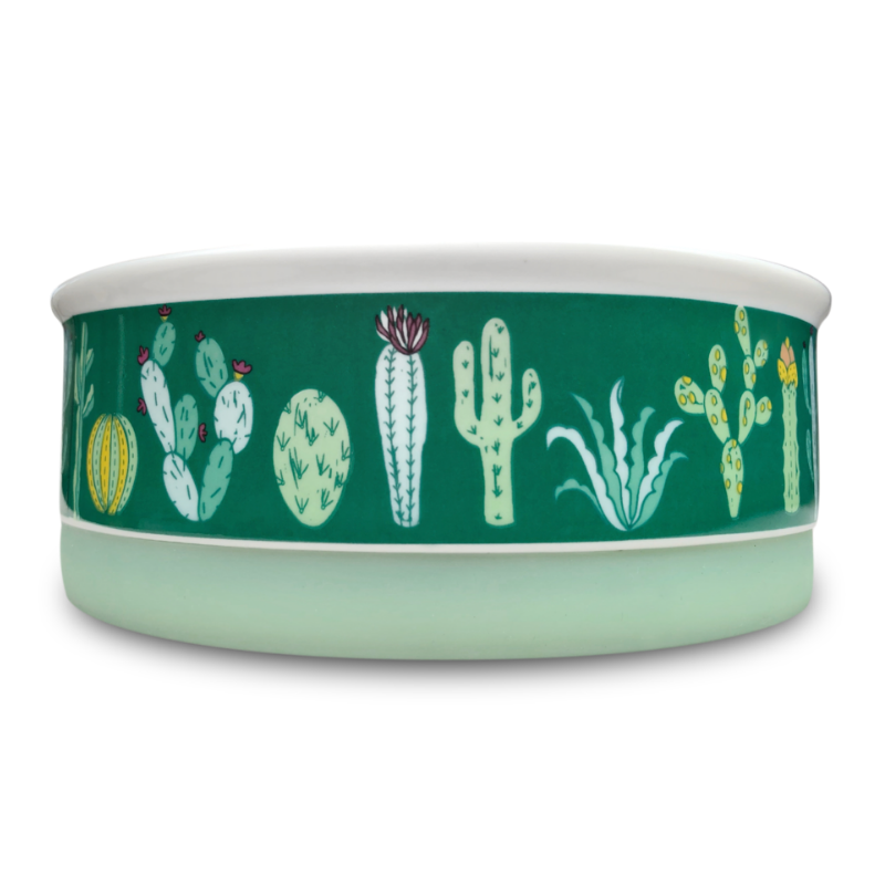 Indie Boho Designer Pet Bowls | Cactus Garden | Peticular