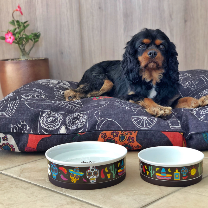 Indie Boho Designer Bowls Mexican Skulls Peticular