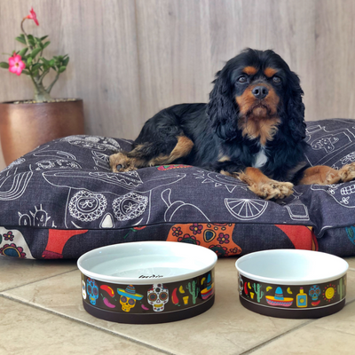 Indie Boho Designer Pet Bowls | Mexican Skulls | Peticular