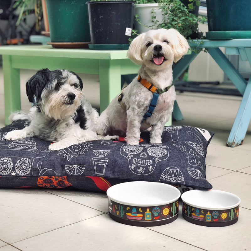 Designer pet products on sale