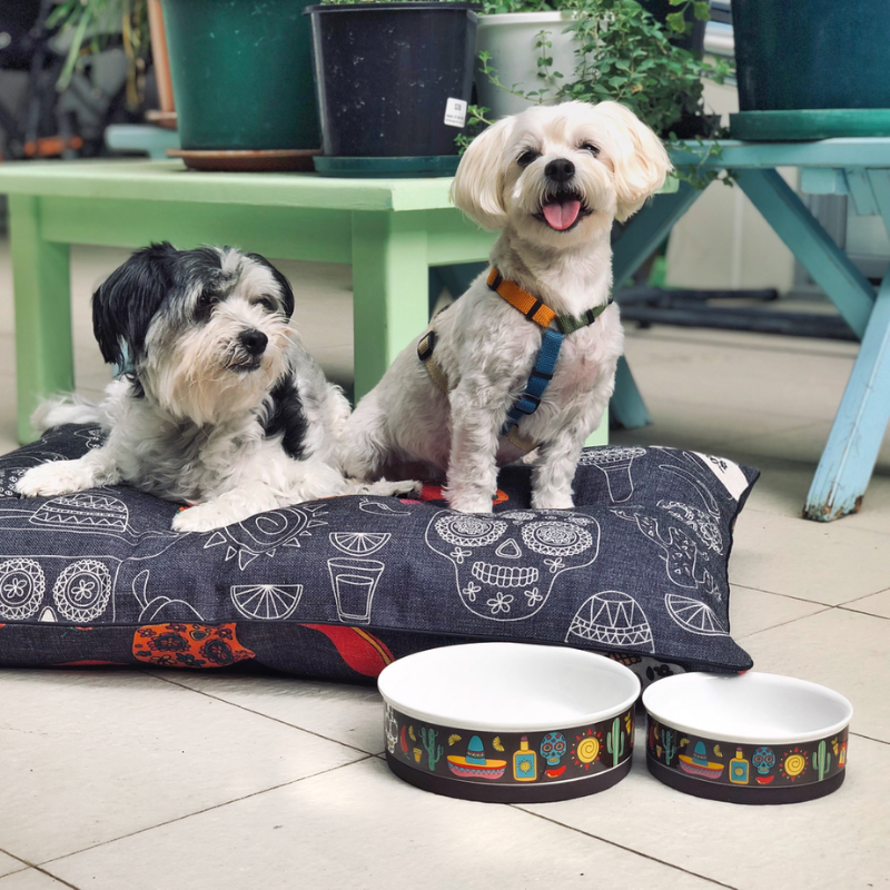 Indie Boho Designer Pet Bowls | Mexican Skulls | Peticular