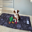 Indie Boho Pet Travel Mat | Mexican Skulls | Peticular