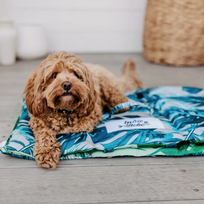 Indie Boho Pet Travel Mat | Tropical Leaves | Peticular