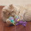 Birthday Teddy Catnip Toy