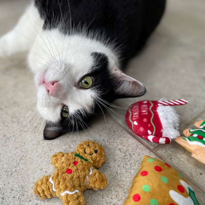 Christmas Scrattles Cat Cafe Edition | Catnip Toy