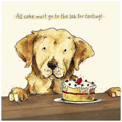 Vevoke Birthday Card | Lab For Testing | Peticular