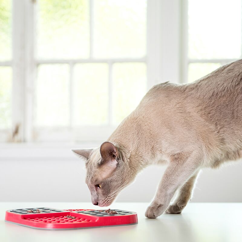 Innovative Pet Products Cat LickiMat Slomo | Peticular