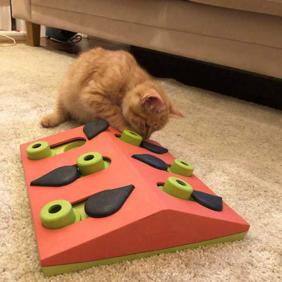Melon Madness Puzzle & Play | Cat Toy