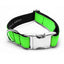 Neon Green Dog Collar - Peticular