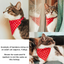 Cat Christmas Bandana | Holly Pink