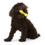 Hurley Tough Dog Toy - Peticular