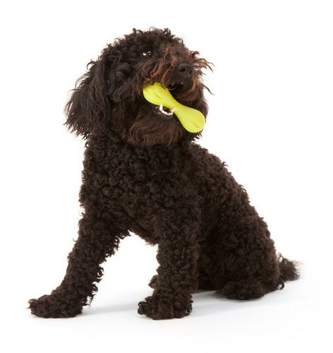 Hurley Tough Dog Toy - Peticular