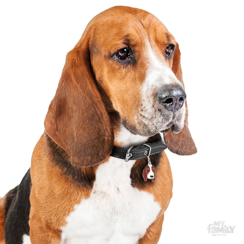 My Family Pet ID Tag | Basset Hound + FREE Engraving | Peticular