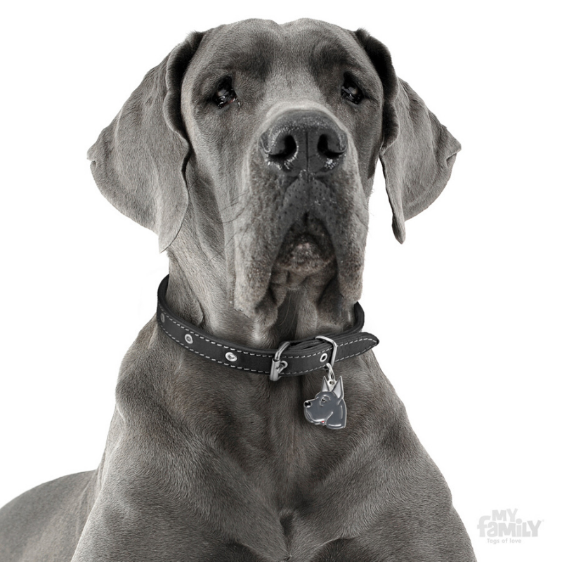 My Family Pet ID Tag | Great Dane + FREE Engraving | Peticular