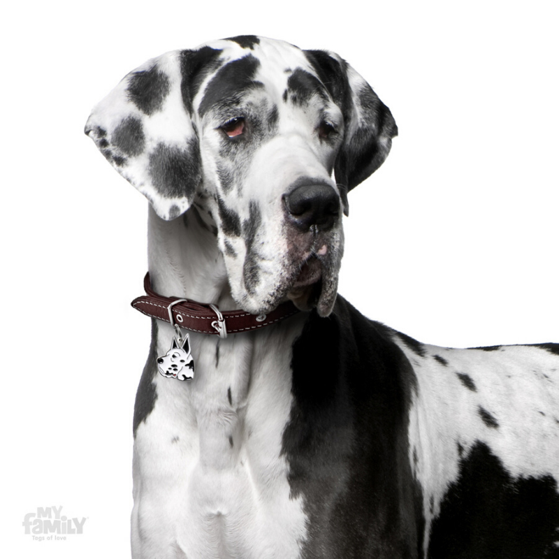 My Family Pet ID Tag | Great Dane + FREE Engraving | Peticular