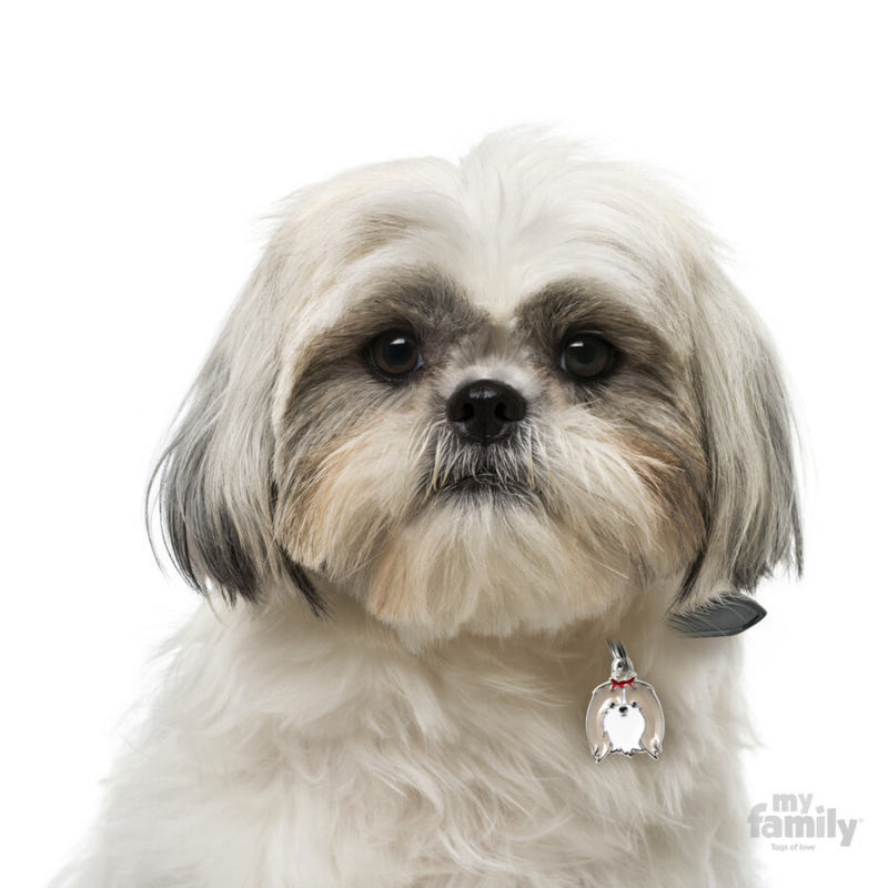 Shih tzu skin tags clearance