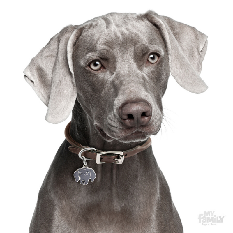 My Family Pet ID Tag | Weimaraner + FREE Engraving | Peticular