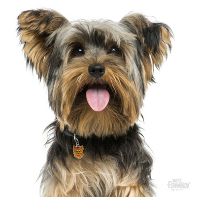 My Family Pet ID Tag | Yorkshire Terrier + FREE Engraving | Peticular