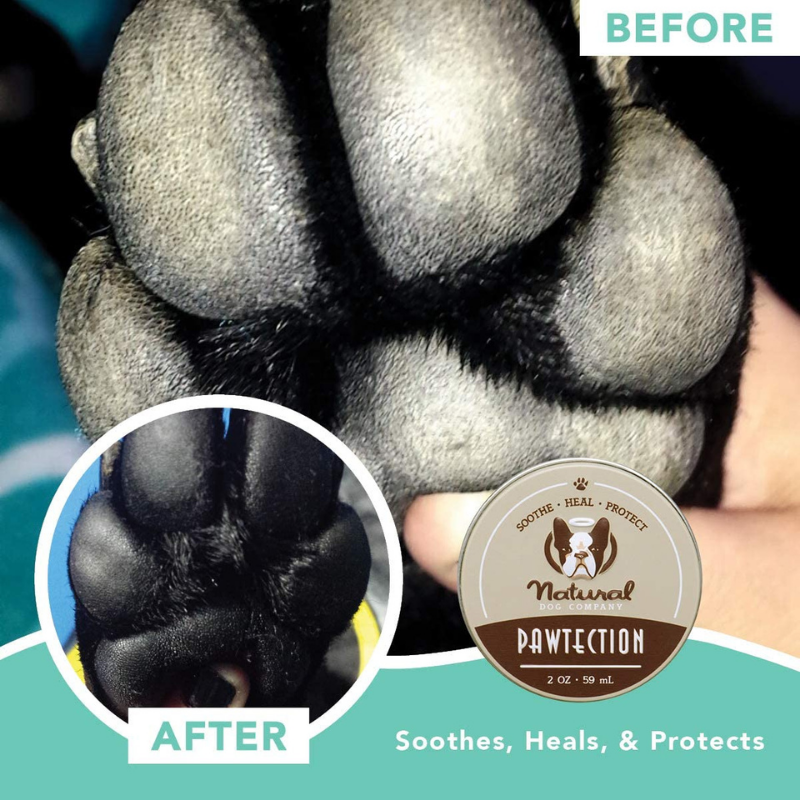 Natural Dog PawTection | Tin - Peticular