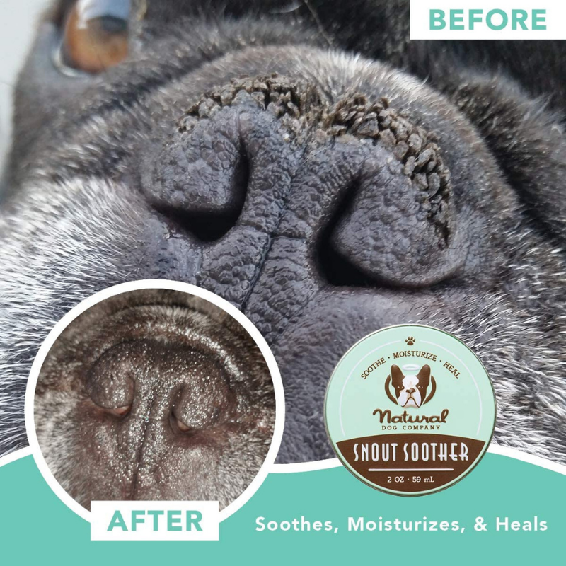 Natural Dog Snout Soother | Tin - Peticular