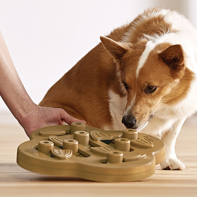 Nina Ottosson Dog Hide N' Slide Puzzle | Peticular