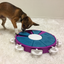 Dog Twister Puzzle