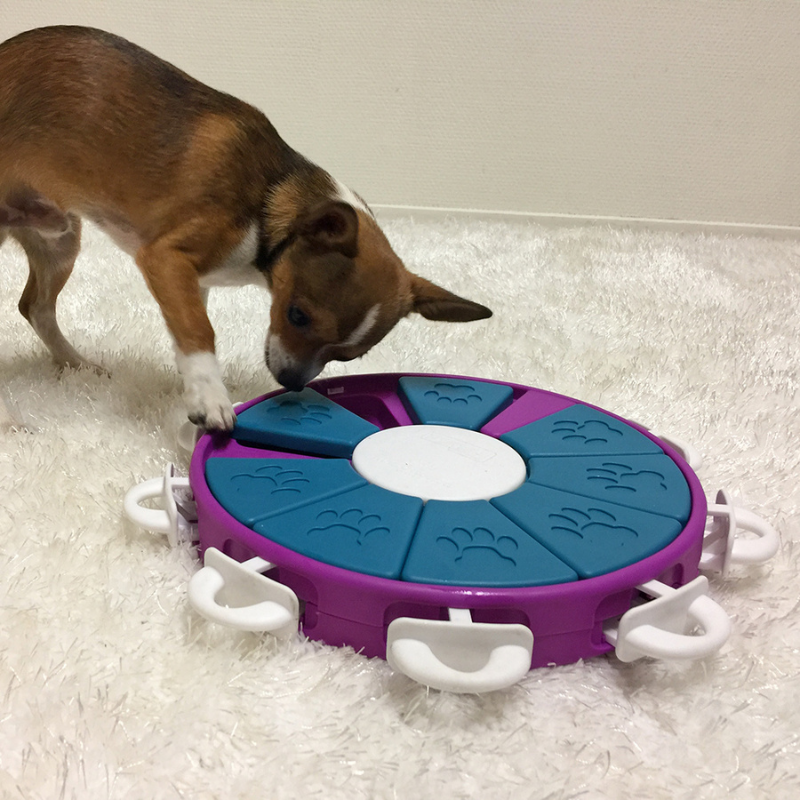 Dog Twister Puzzle