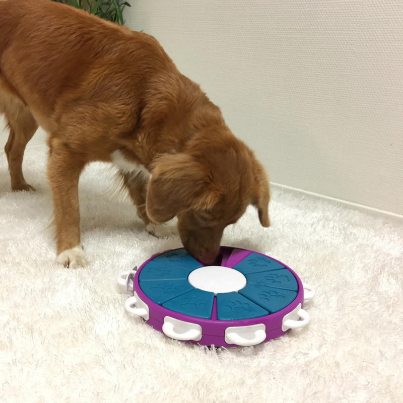 Dog Twister Puzzle