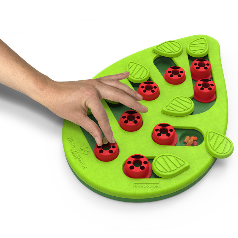 Buggin' Out Puzzle & Play | Cat Toy