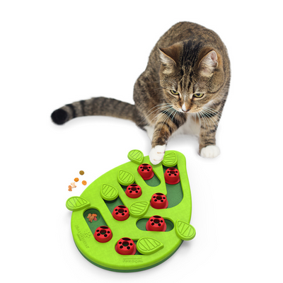 Buggin' Out Puzzle & Play | Cat Toy