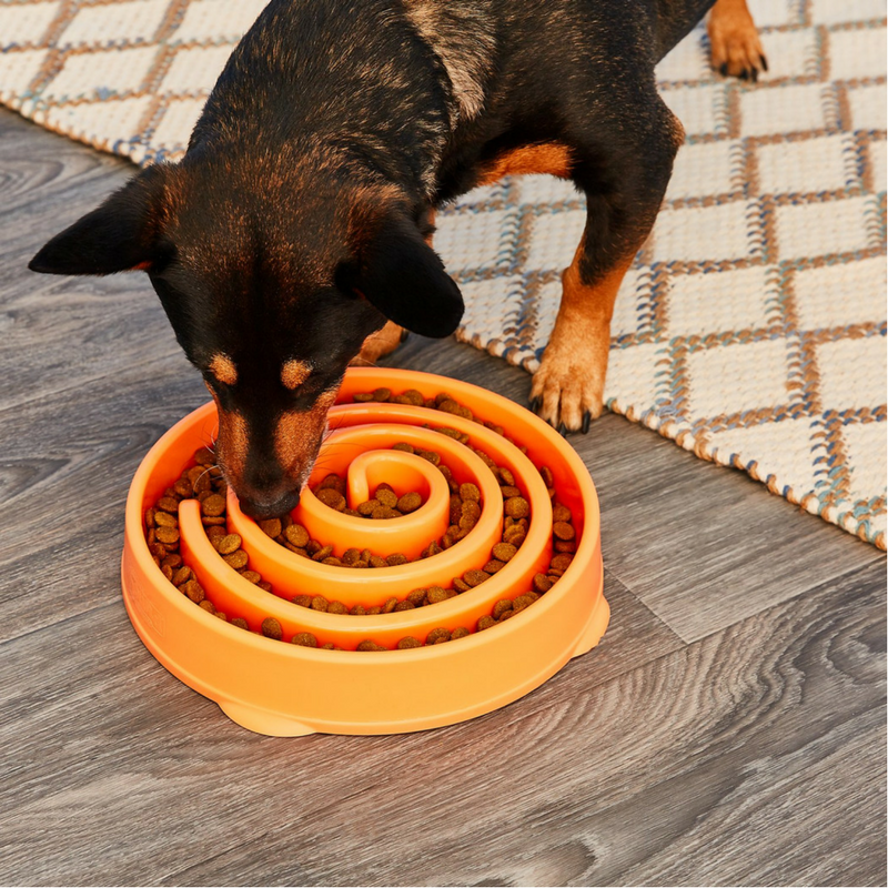 Outward Hound Fun Feeder Slo-Bowl | Orange Maze | Peticular