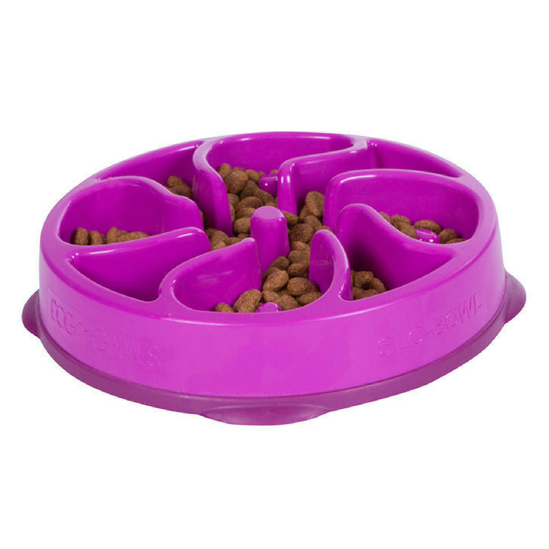 Outward Hound Fun Feeder Slo-Bowl | Purple Flower | Peticular