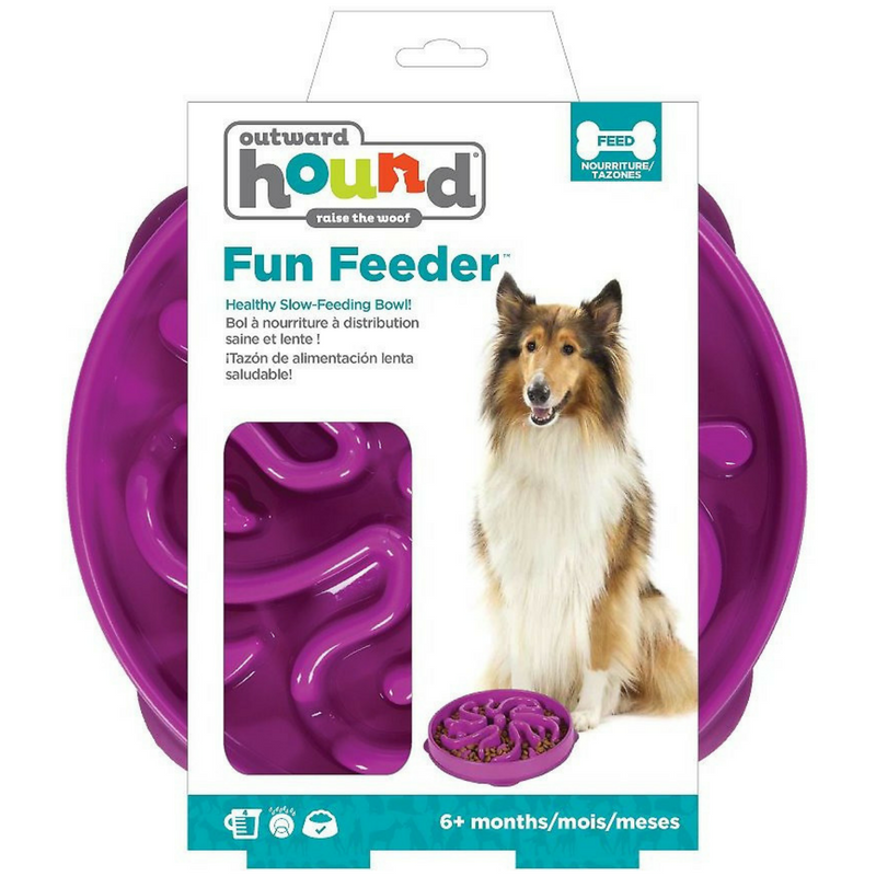 Outward Hound Fun Feeder Slo-Bowl | Purple Flower | Peticular