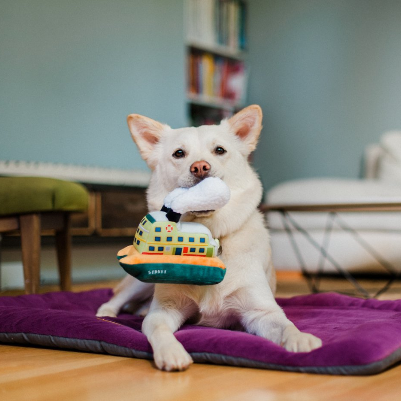 Canine toys online