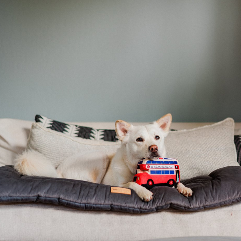 Canine Commute Plush Toys