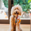 Canine Commute Plush Toys