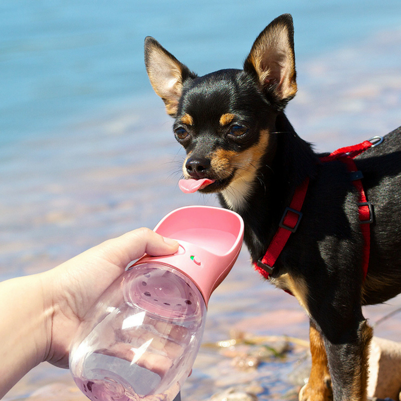 PAWZ Travel Pet Water Cup | Peticular