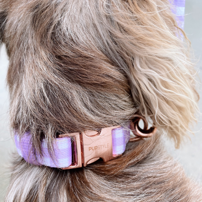 Berry Milkshake | Suburban Dog Collar