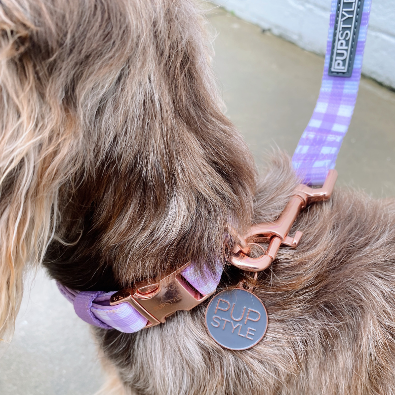 Berry Milkshake | Suburban Dog Collar